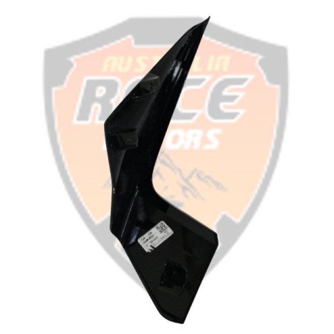 Black Side Headlight Mask RH Duke 250