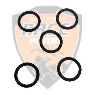 Ring-O Duke RC Adventure