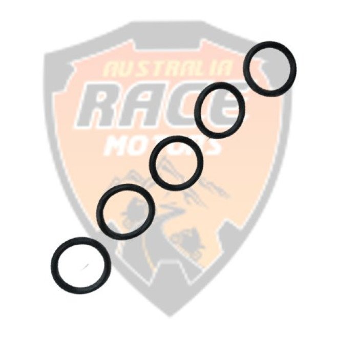 Ring-O Duke RC Adventure