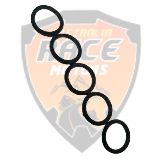 Ring-O Duke RC Adventure