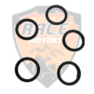 Ring-O Duke RC Adventure