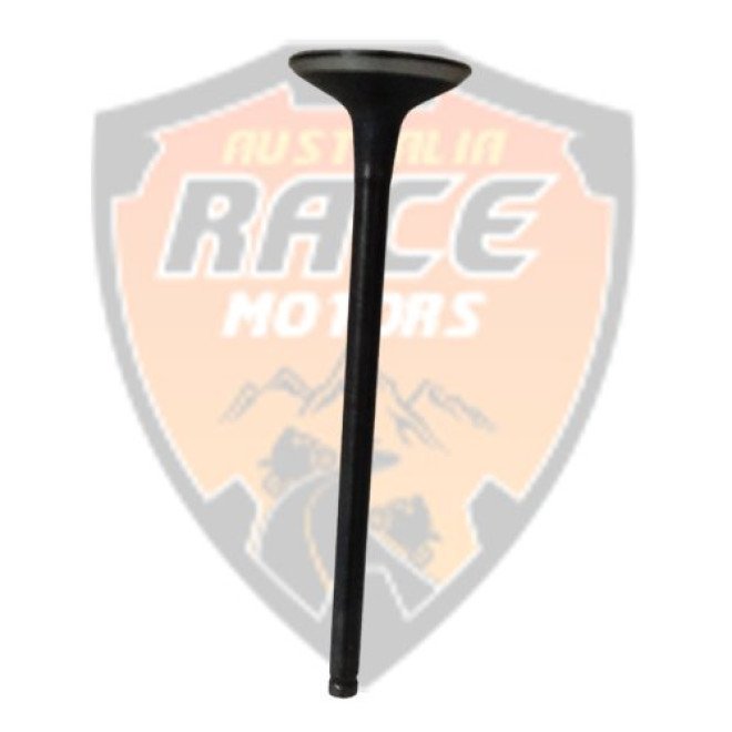 Valve Exhaust Duke RC Adventure