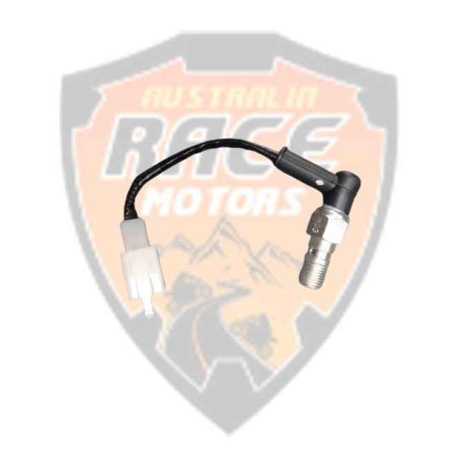 Rear Switch Brake