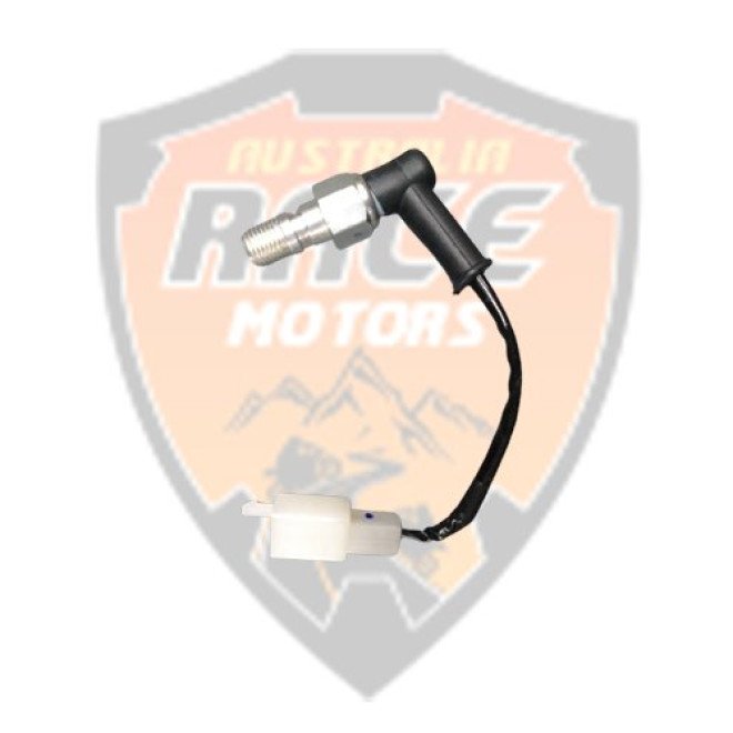 Rear Switch Brake