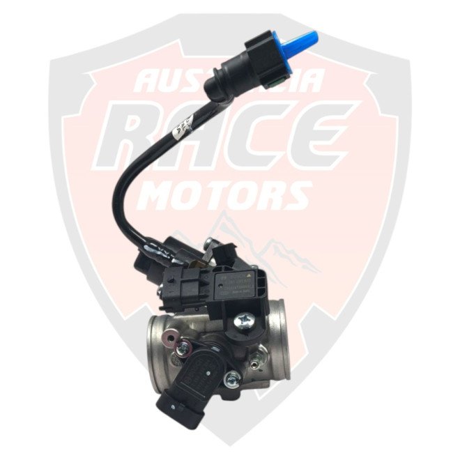 Assembly Throttle Body DIA 38