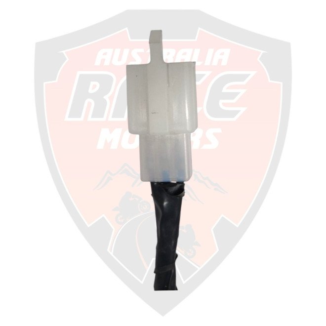 Tail Lamp Tail 