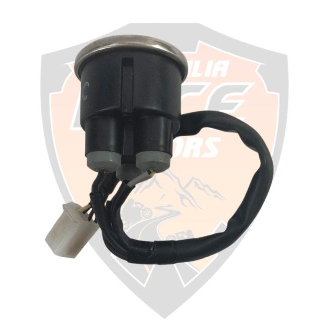 Warning Indicator - Gold Royal Enfield Bullet 350 # RAM00050