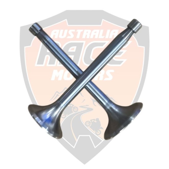 Valve Kit 350 CC Royal Enfield # 597405