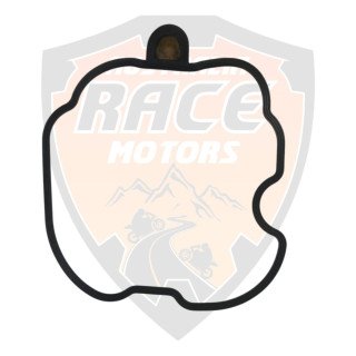 Seal Cam Cover Royal Enfield 350 Meteor # 1570215/F