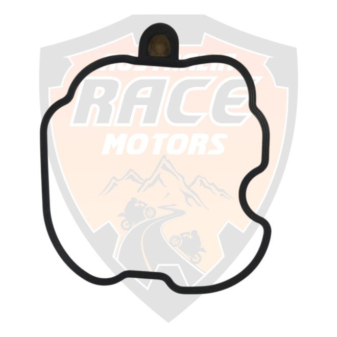 Seal Cam Cover Royal Enfield 350 Meteor # 1570215/F