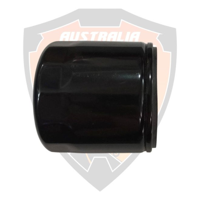 Filter Complete, Engine Oil Royal Enfield 650 Interceptor, Super Meteor, Continental GT, Shotgun, Bear  # 575139/F