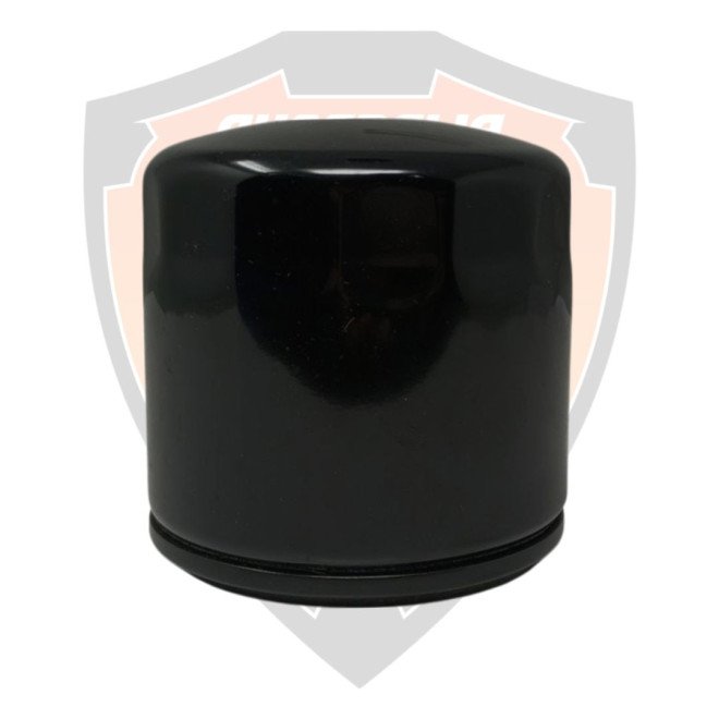 Filter Complete, Engine Oil Royal Enfield 650 Interceptor, Super Meteor, Continental GT, Shotgun, Bear  # 575139/F