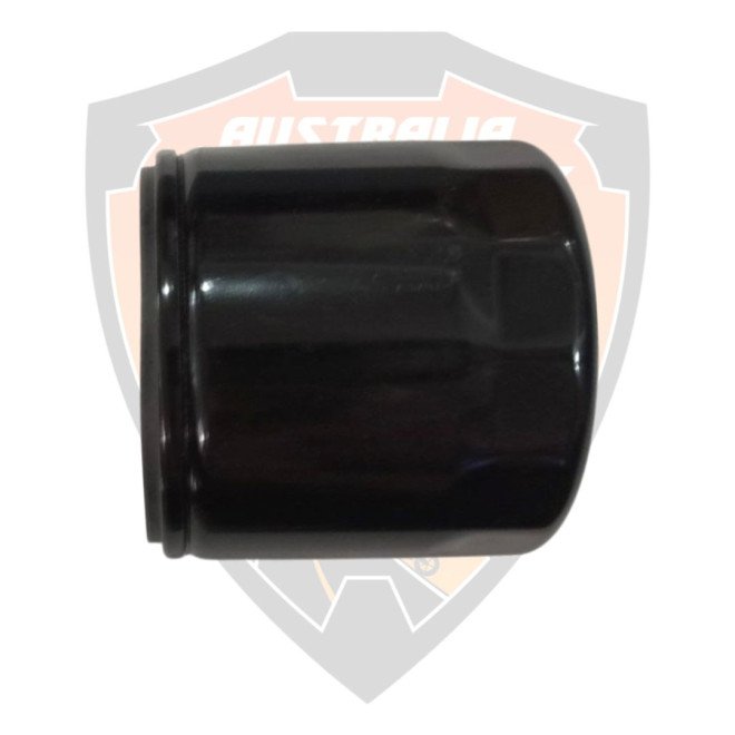 Filter Complete, Engine Oil Royal Enfield 650 Interceptor, Super Meteor, Continental GT, Shotgun, Bear  # 575139/F