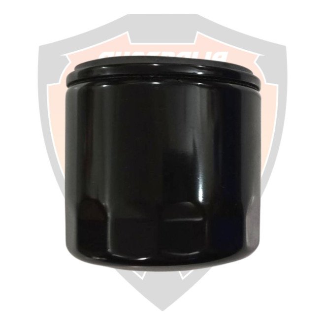 Filter Complete, Engine Oil Royal Enfield 650 Interceptor, Super Meteor, Continental GT, Shotgun, Bear  # 575139/F