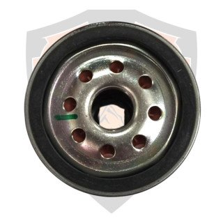 Filter Complete, Engine Oil Royal Enfield 650 Interceptor, Super Meteor, Continental GT, Shotgun, Bear  # 575139/F