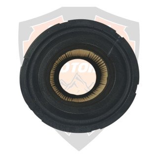 Air Filter Element Royal Enfield 450 Himalayan, Guerilla # RLY00037/D